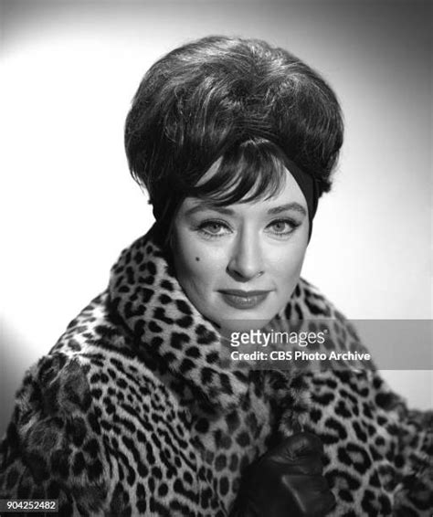 96 Actress Amanda Blake Stock Photos & High